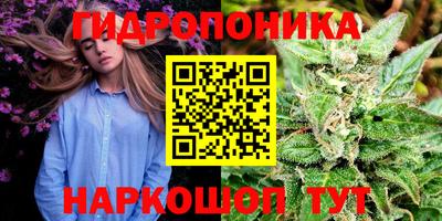 сатива Заволжье