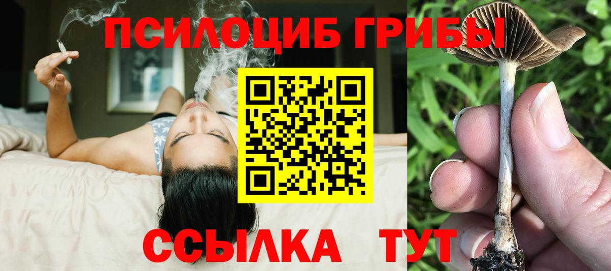 Кыштым  Псилоцибиновые грибы Psilocybine cubensis  Вход с VPN 